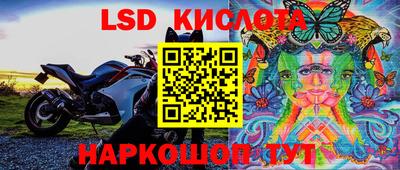 молекула духа Заводоуковск