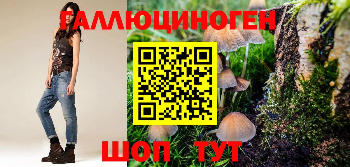 Галлюциногенные грибы прущие грибы Лысьва